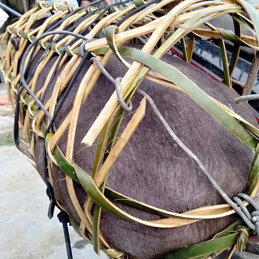 Lợn mán nuôi thả đặc sản Tây Bắc Lợn mán nuôi thả đặc sản Tây Bắc