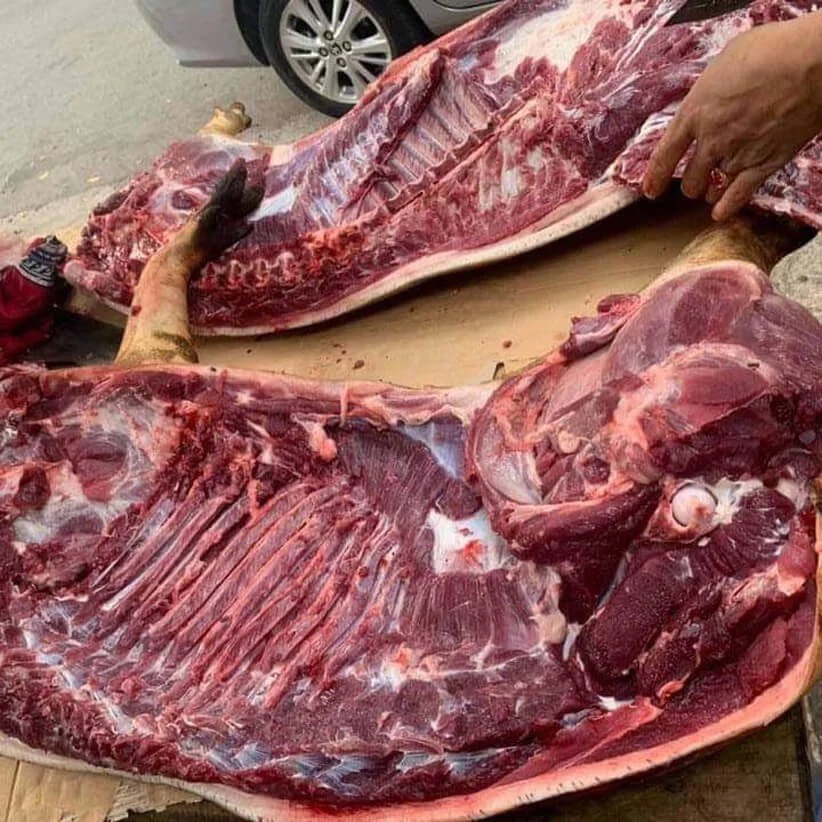 Lợn đen nuôi thả đặc sản Tây Bắc Lợn đen nuôi thả đặc sản Tây Bắc