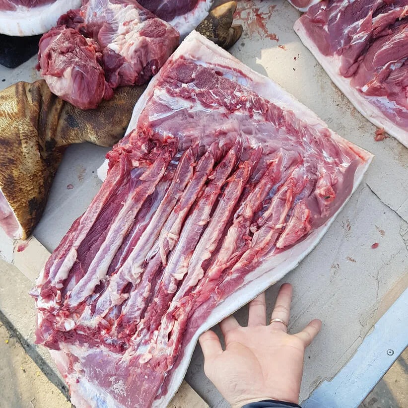 Lợn đen nuôi thả đặc sản Tây Bắc Lợn đen nuôi thả đặc sản Tây Bắc