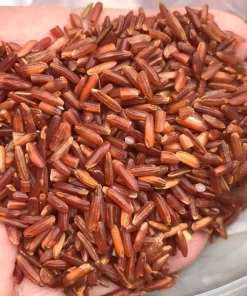 Gạo huyết rồng Điện Biên (10kg)