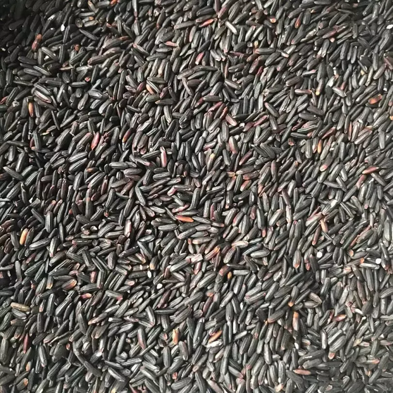 Gạo lứt đen dẻo