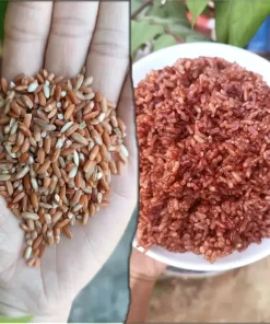 Gạo lứt đỏ dẻo huyết rồng Điện Biên (10kg)