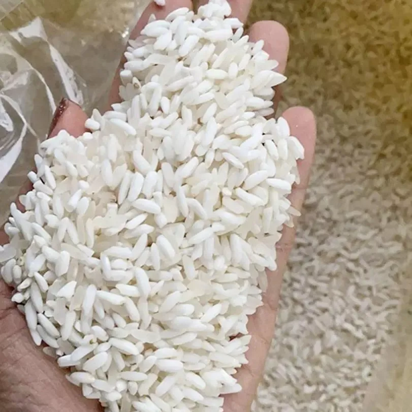 Gạo Nếp Nương Điện Biên