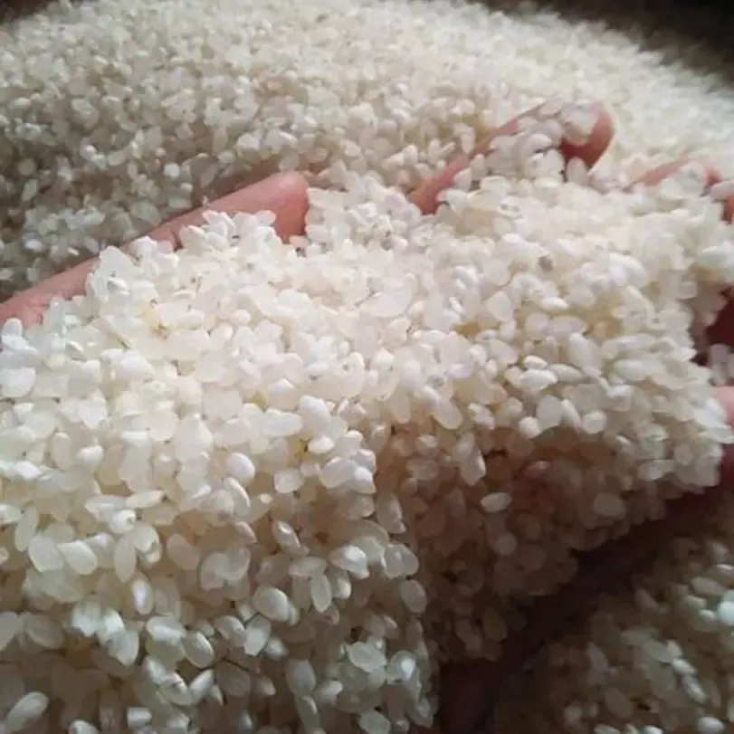 Gạo Nếp Tú Lệ Yên Bái