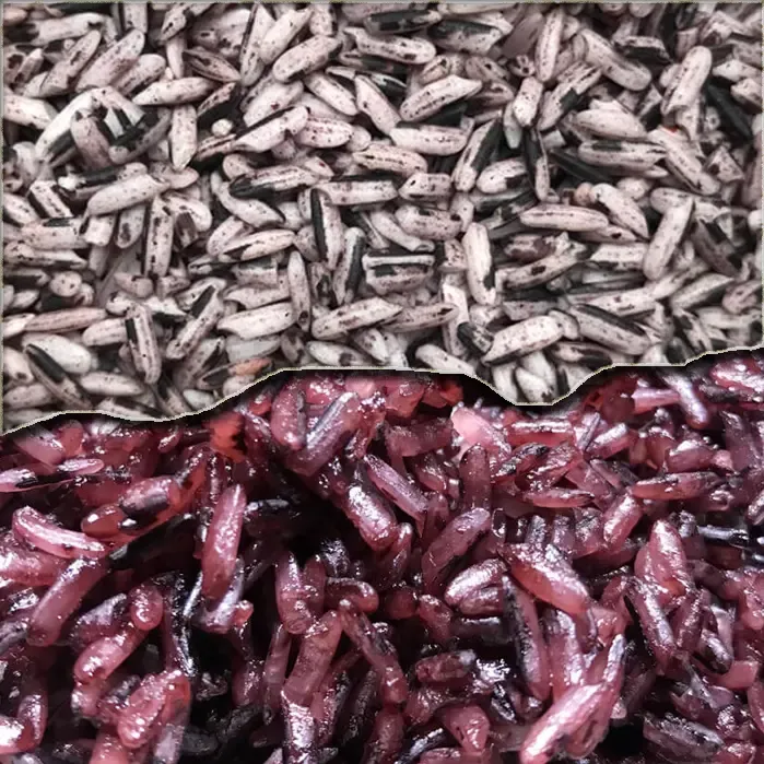 gạo nương tím tây bắc