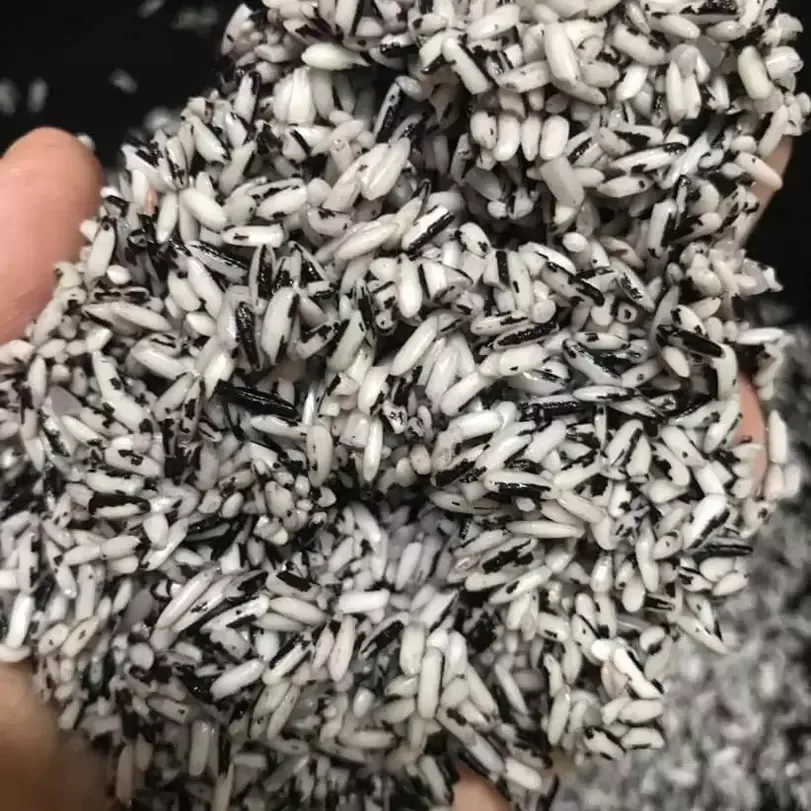 gạo nương tím tây bắc