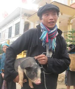 Lợn cắp nách đặc sản Tây Bắc (1kg)