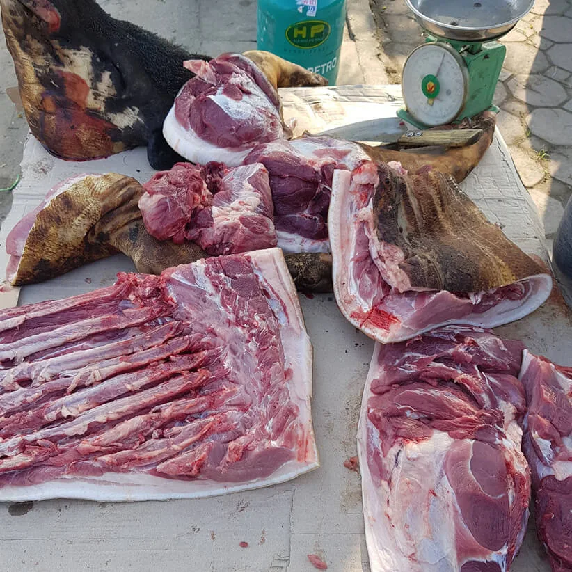 Lợn mán nuôi thả