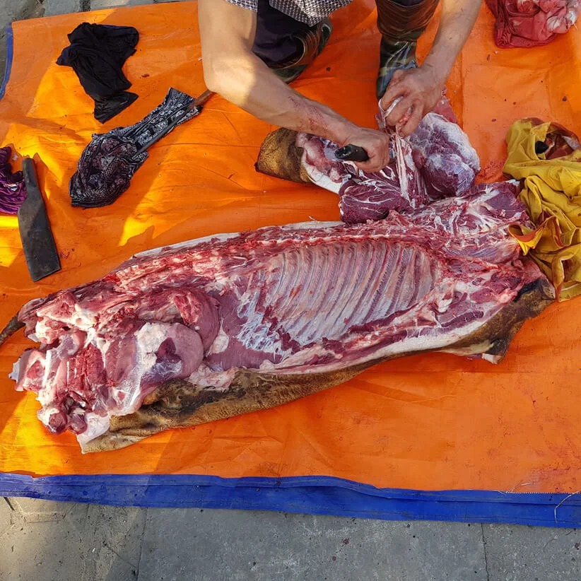 Lợn mán nuôi thả đặc sản Tây Bắc Lợn mán nuôi thả đặc sản Tây Bắc