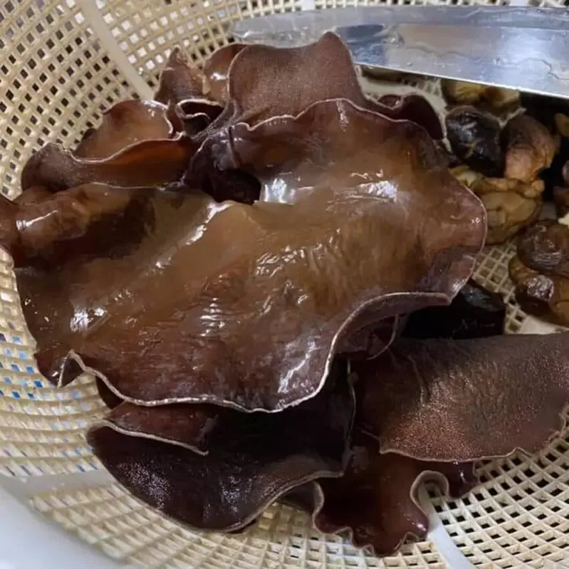 Mộc nhĩ rừng Tây Bắc