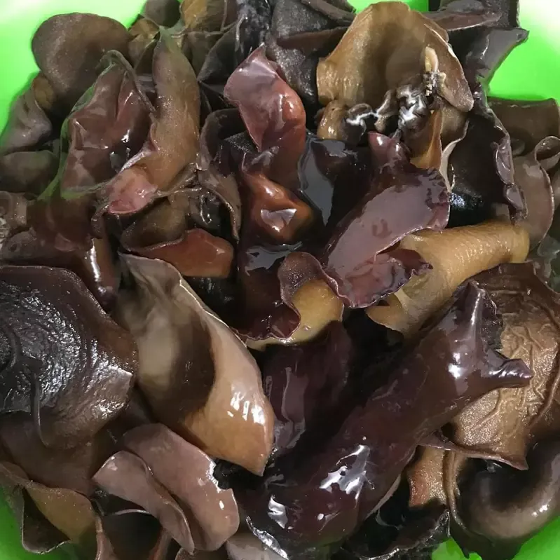 Mộc nhĩ rừng Tây Bắc