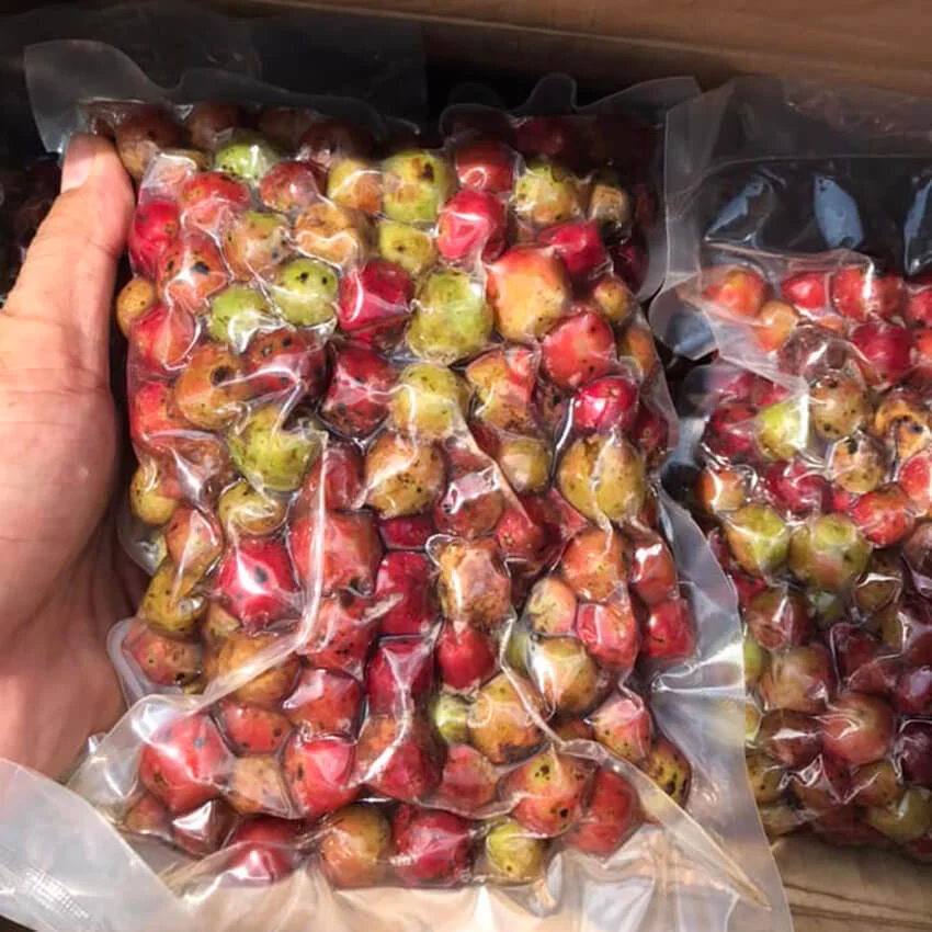 Nho Rừng ngâm rượu