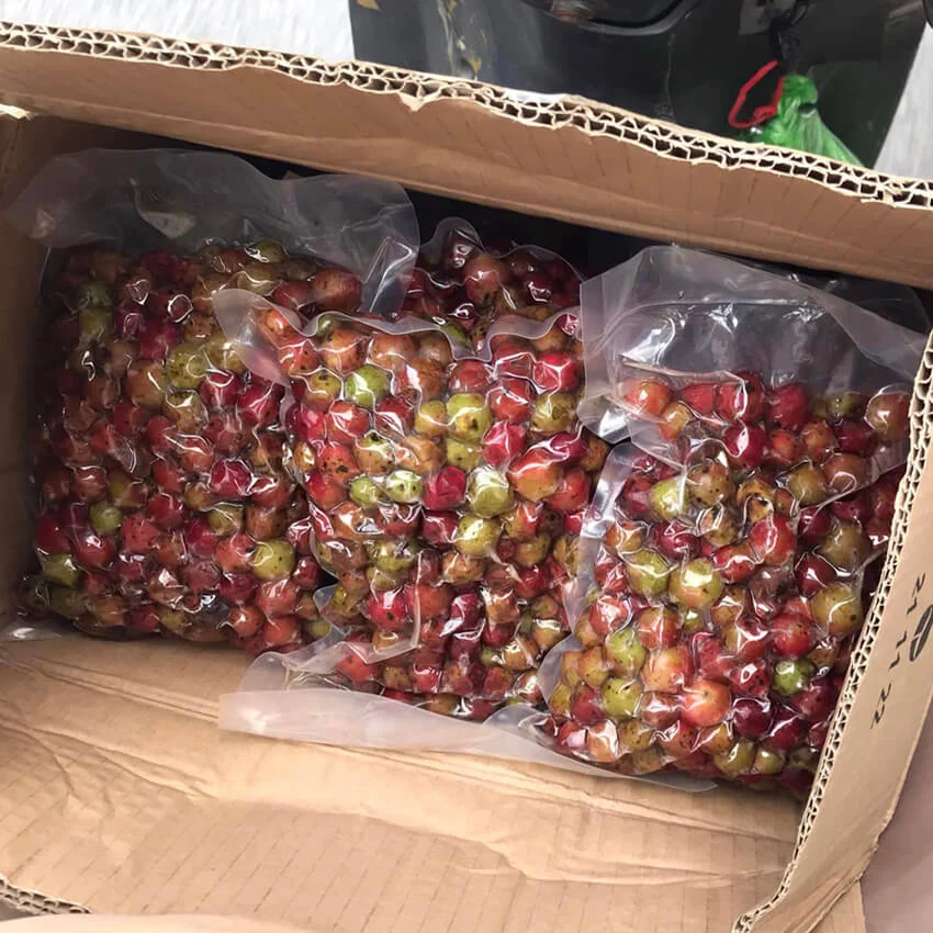 Nho Rừng ngâm rượu