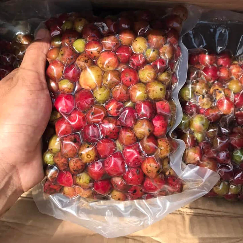 Nho Rừng ngâm rượu