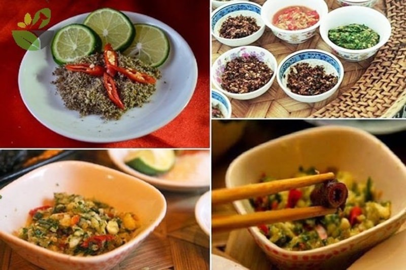 tác dụng chữa bệnh của hạt dổi