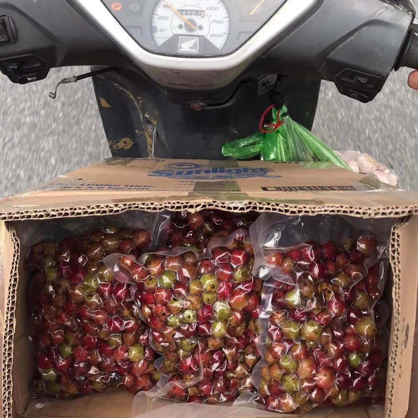 Nho Rừng hút chân không (1kg) Nho Rừng hút chân không (1kg)