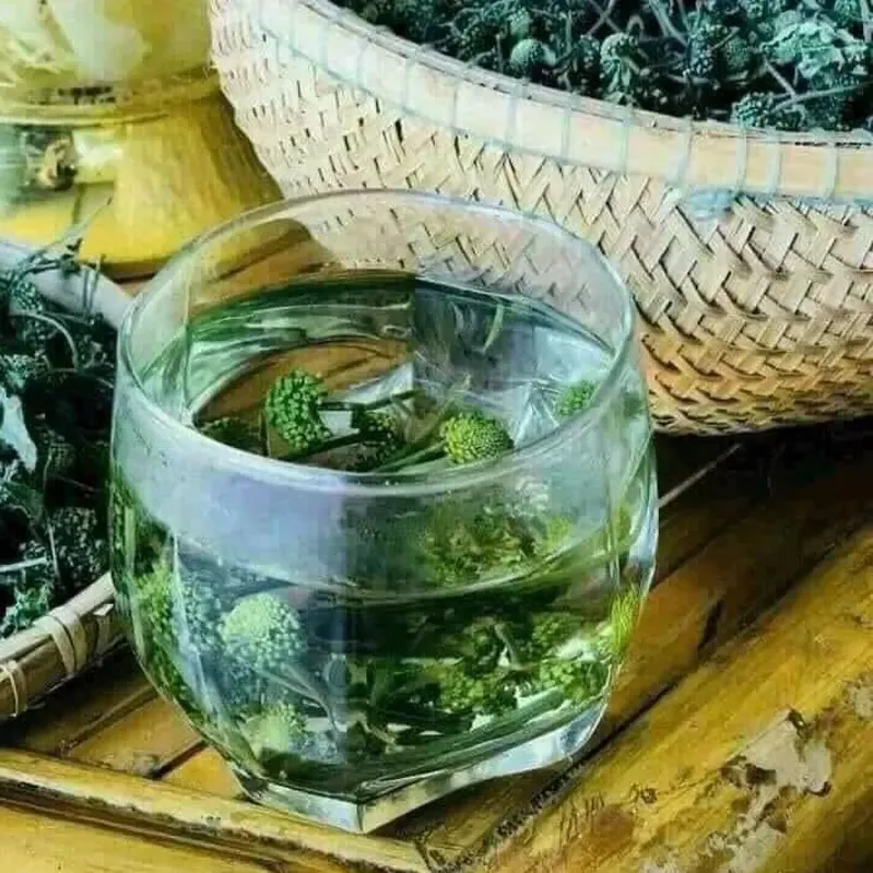 Nụ hoa Tam Thất khô