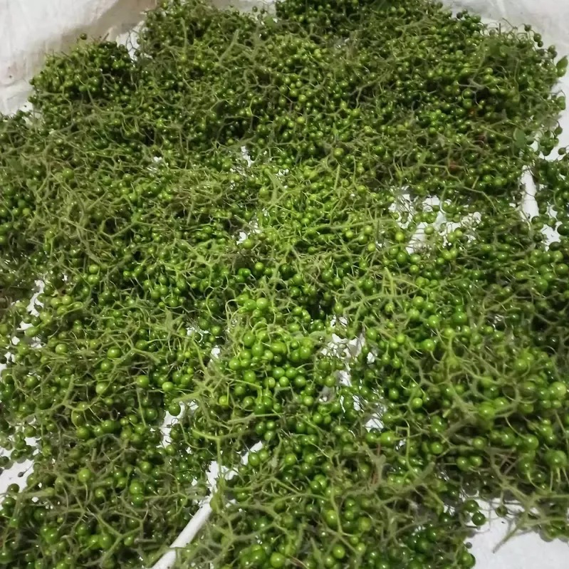 Quả đắng Phù Yên (1kg) Quả đắng Phù Yên (1kg)