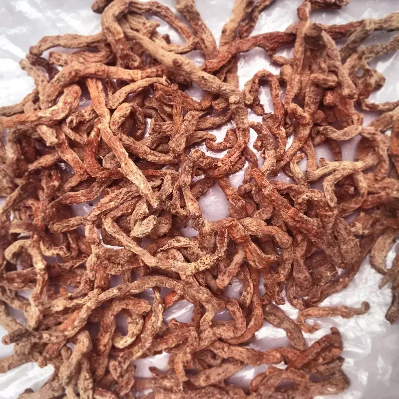 Rễ Cây Tứn Khửn Khô